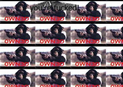ape 0wn1ng you