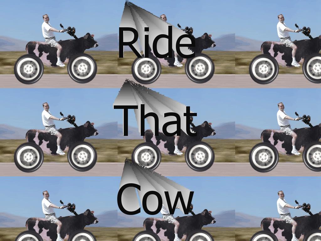ridingthecow
