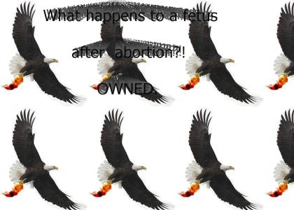 After Abortion