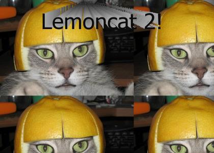 Limecat: A second challenger appears.