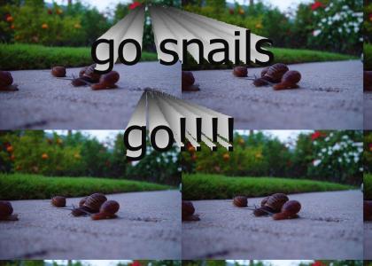 SNAIL RACING (Updated sound)