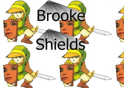 Link is equipped with...