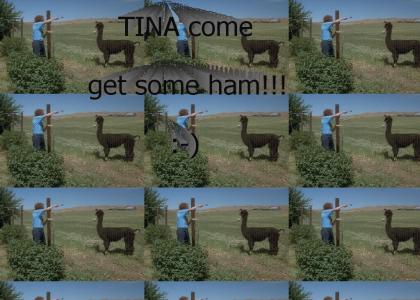 Tina you fat lard!!!!