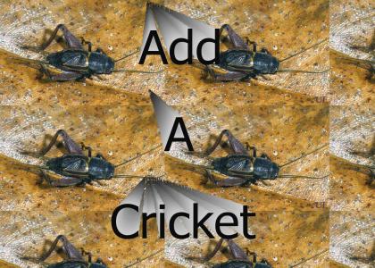 Add a cricket