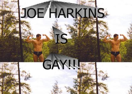 JOE HARKINS IS GAY