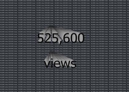 525,600 views (NG version)