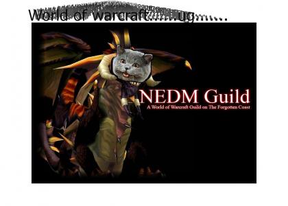 NEDM meets world of warcraft
