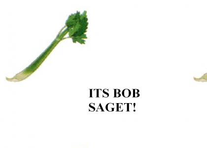 Bob saget