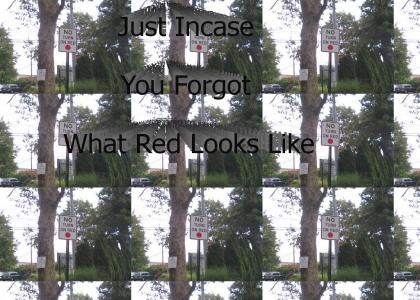 What Does Red Look Like?