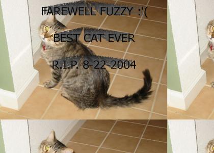 FAREWELL FUZZY :'(