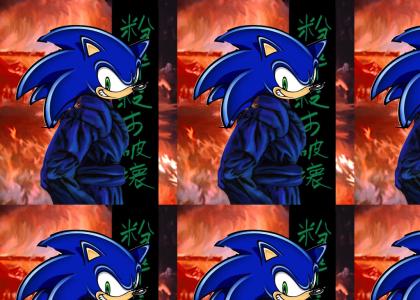 Sonic gives advice on ninja looting