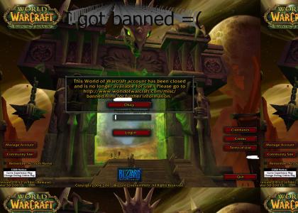 Power Leveling on World of Warcraft...