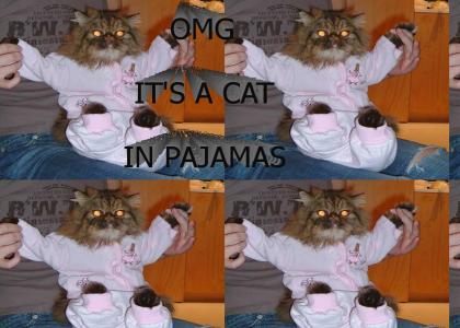 Cat In Pajamas!!