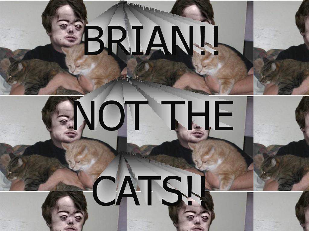 notthecats