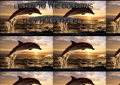 Call of the Dolphin