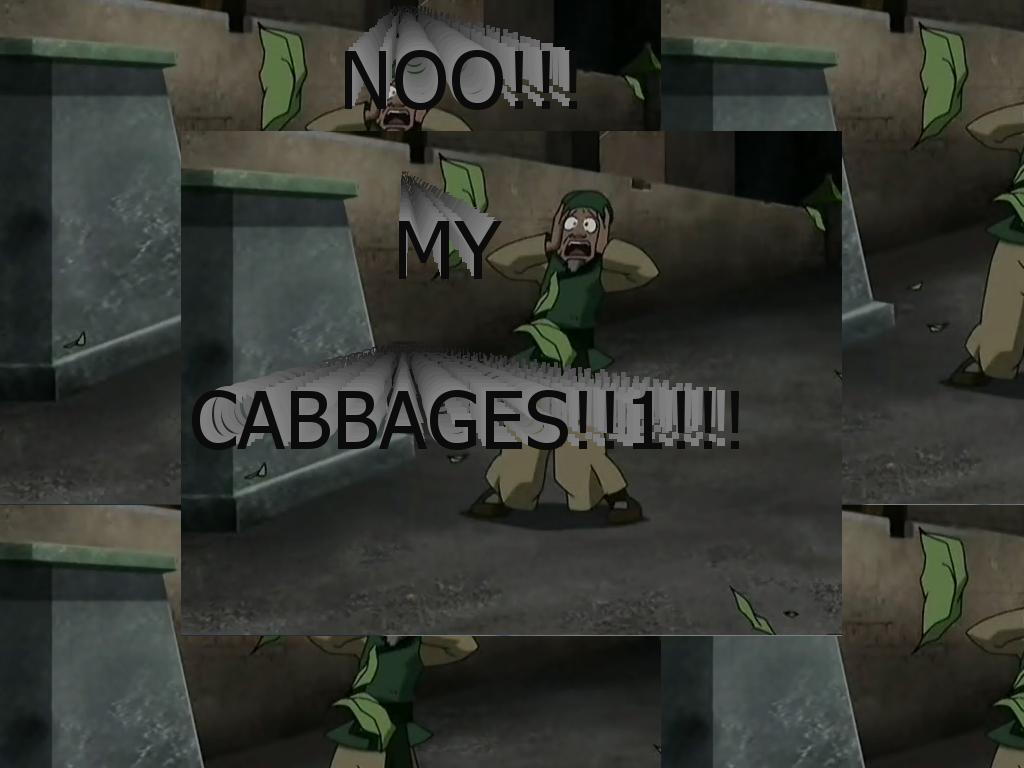 mycabbages