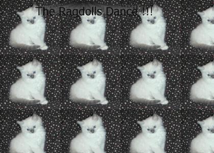 Ragdolls dance