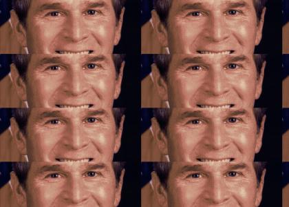 What goes on in Bush's brain