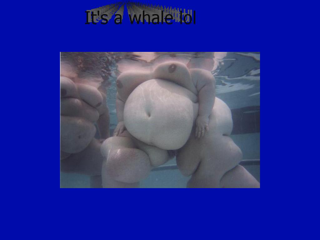 whalelol