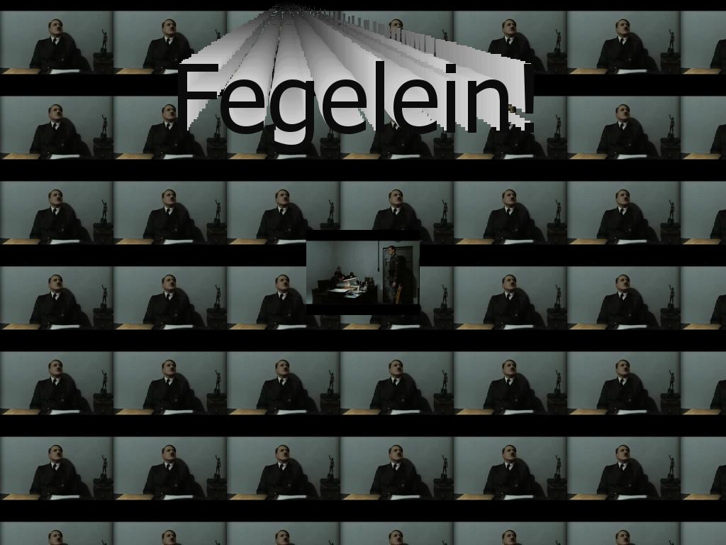 fegeleinnow