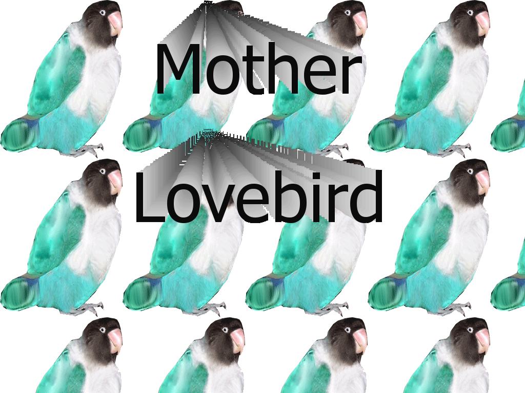 motherlovebird