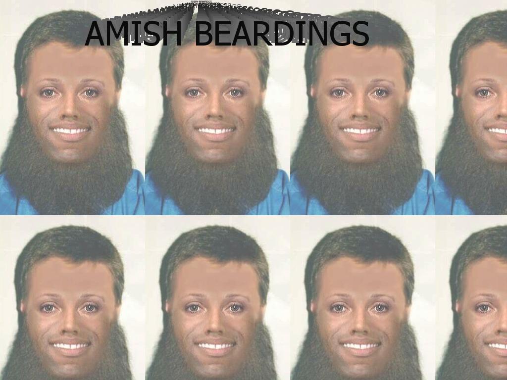 amishbeardings