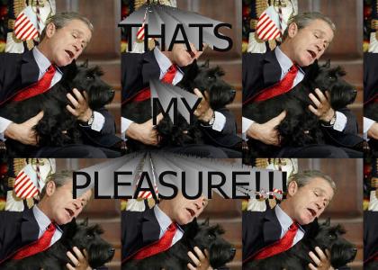 Bush choking dog