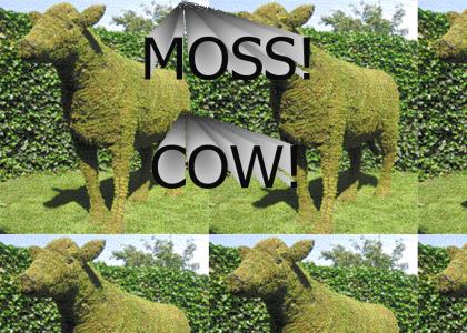 MossCow