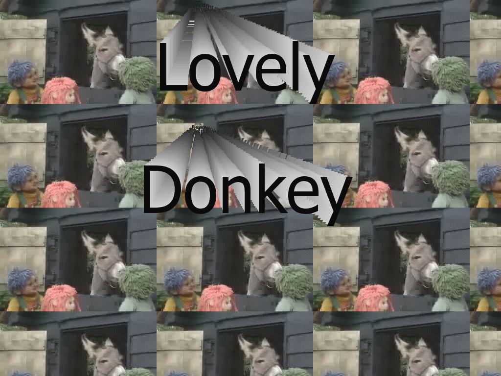 lovelydonkey
