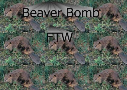beaver bomb