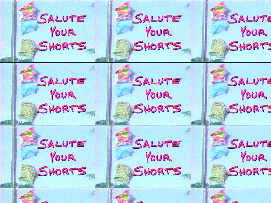 salootyourshorts