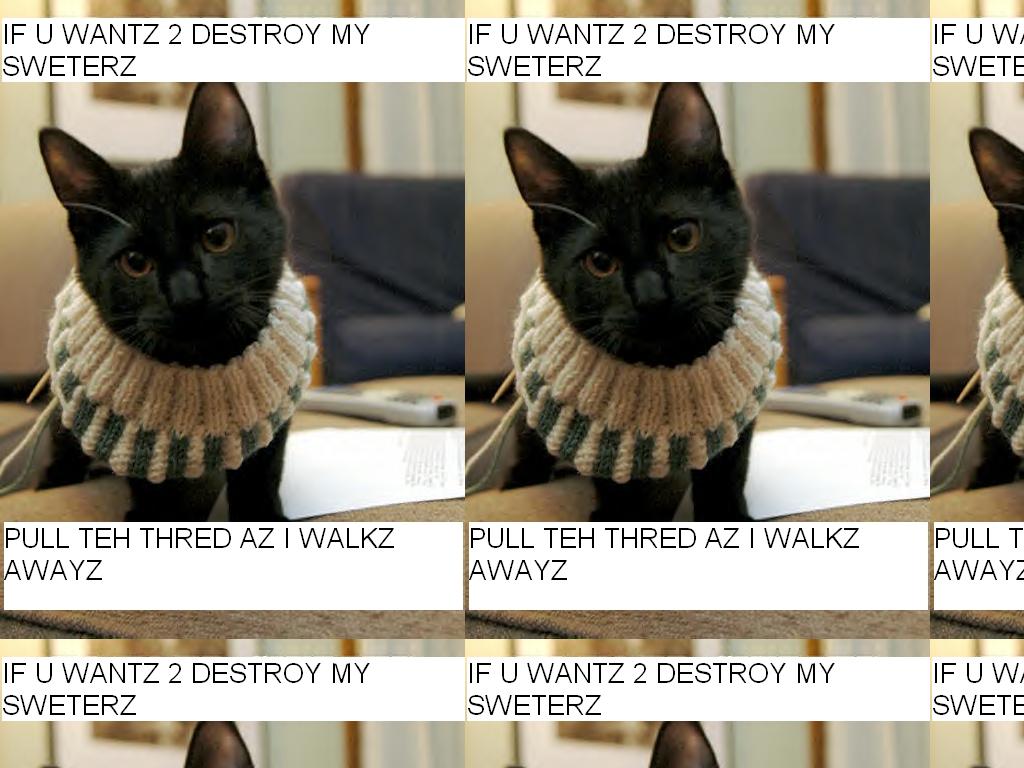 weezercat