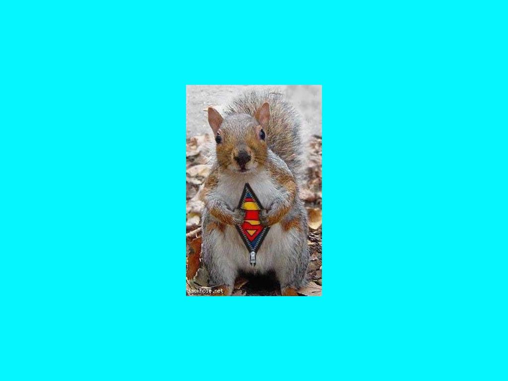 supersquirrel2009