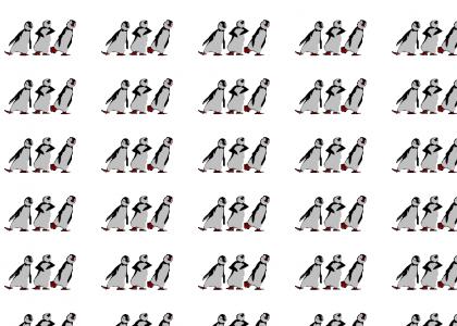 Penguins Dancing?  Hell Yes!