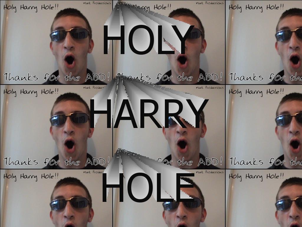 HolyHarryHole