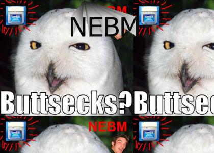 o buttsecks? (NEBM)