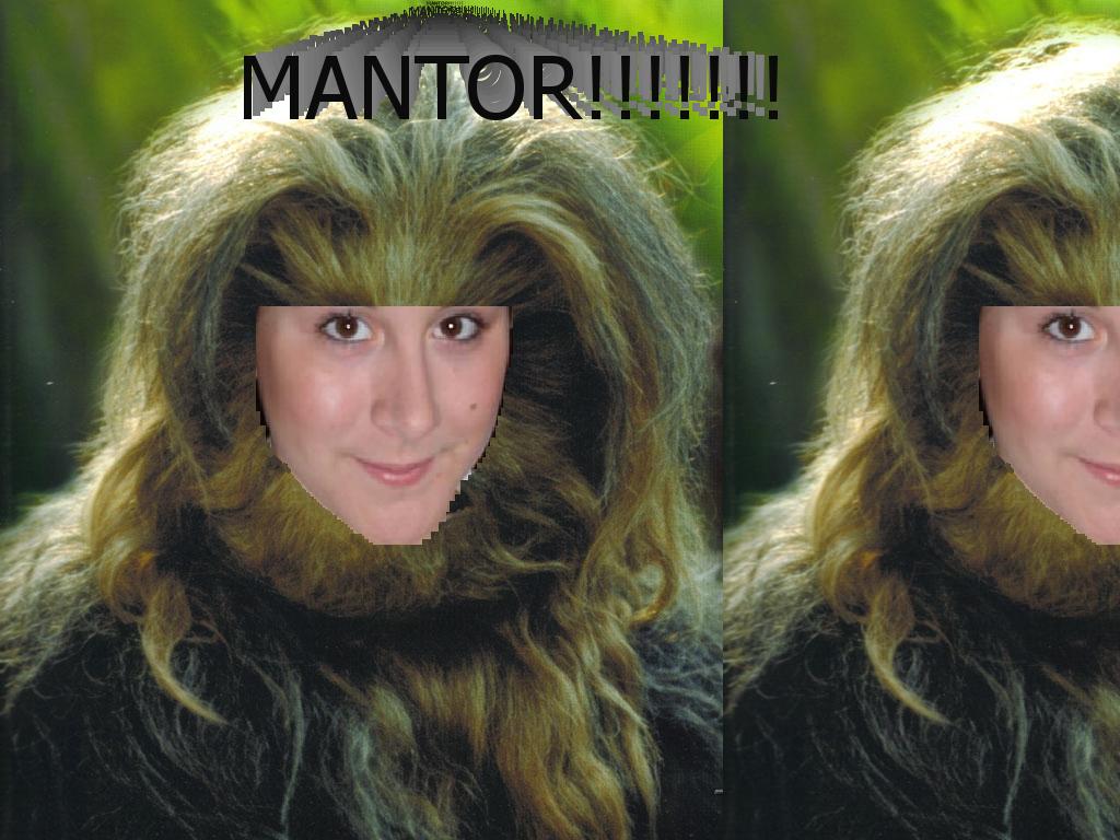 mantor2