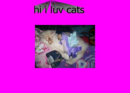 i luv cats