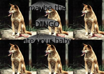 Dingo ate your baby