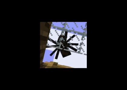 Minecraft Spiders Spin Right Round