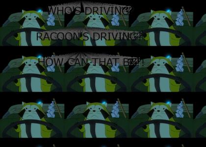 What is racoon driving?