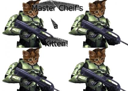 Master Chief's A Kitten