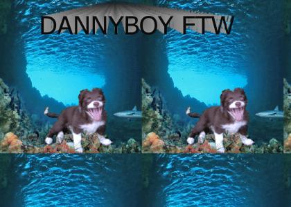 dannyboy pwns a shark