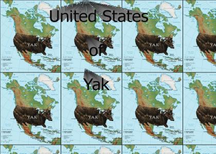 United States of.. YAK!