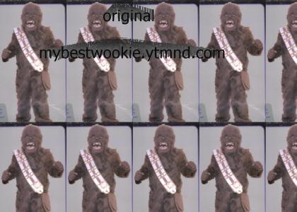 mybestwookie.ytmnd.com remake