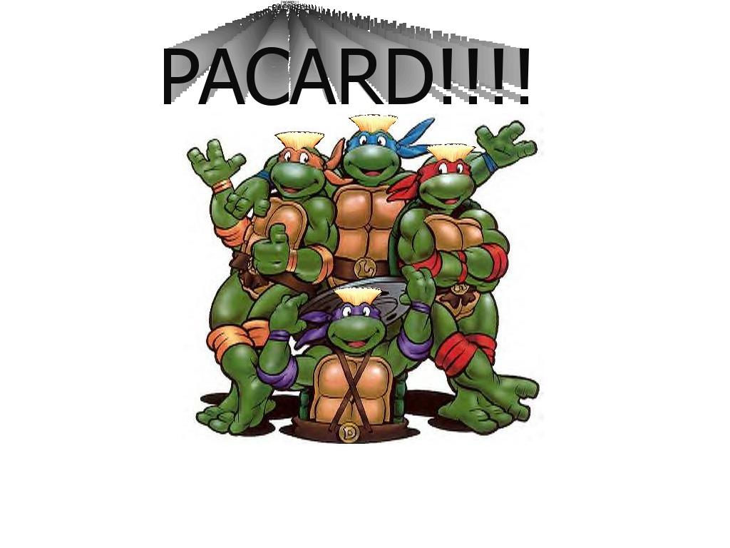 tmntpacard