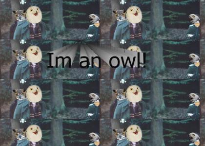 Hermione is apparently an owl