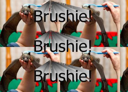 Brushie! Brushie! Brushie!