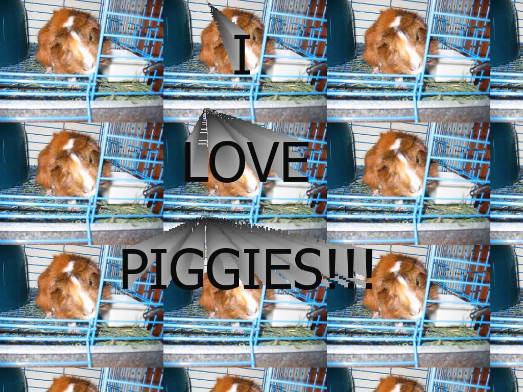 ilovepiggies