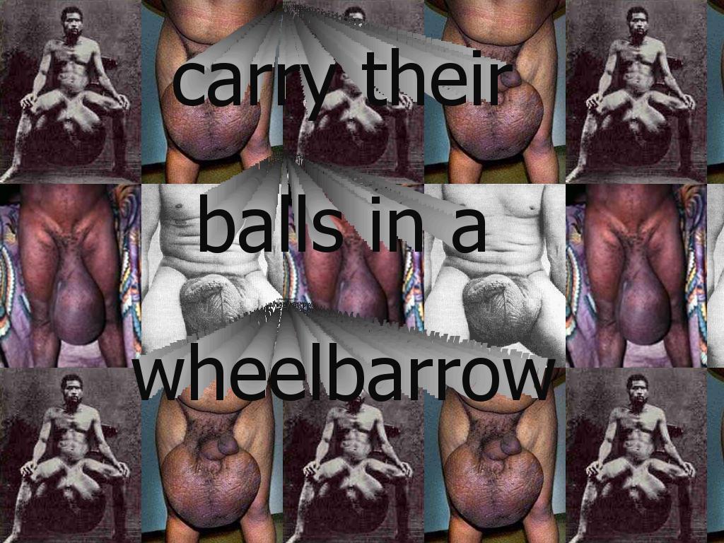 ballsinawheelbarrow